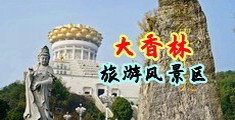 骚逼白浆视频中国浙江-绍兴大香林旅游风景区